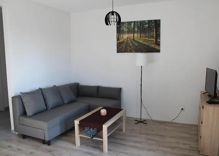 Fibra Freddo Rybnik (Silesia)